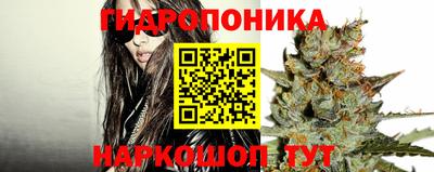 дмт Волжск
