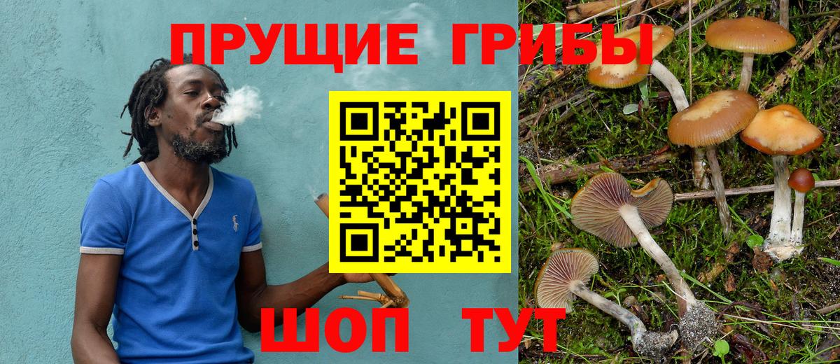 Псилоцибиновые грибы Magic Shrooms Красноармейск