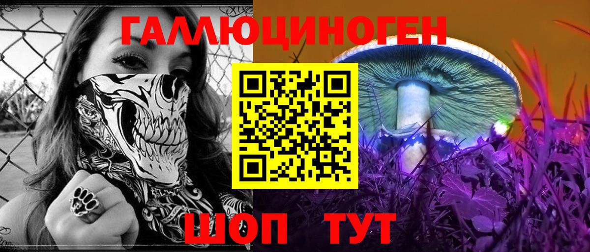 Псилоцибиновые грибы прущие грибы  Красноармейск  Галлюциногенные грибы GOLDEN TEACHER 