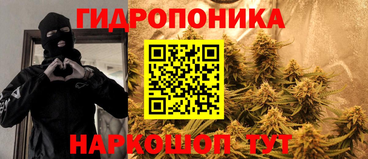 Канабис White Widow  Вход с VPN  Бошки Шишки Ganja  Канабис OG Kush  Красноармейск 